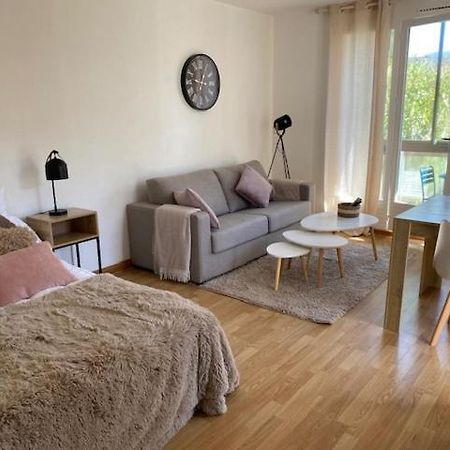 Studio 33 M2 , Climatise, Parking Exterieur Prive Gratuit Amélie-les-Bains-Palalda Eksteriør billede